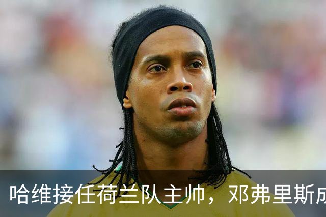 哈维接任荷兰队主帅，邓弗里斯成为临时副队长